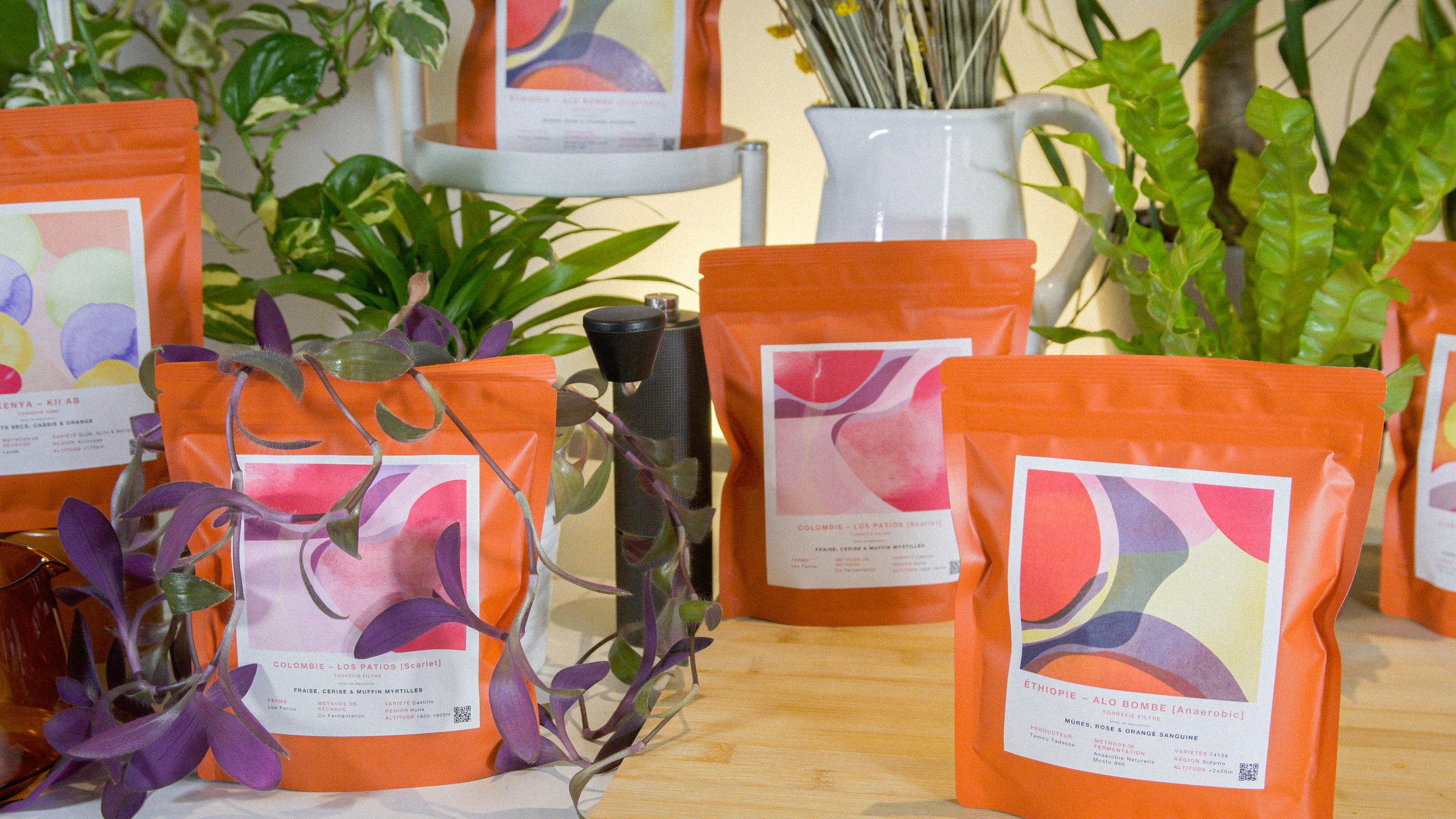 Orange coffee bags with abstract art, surrounded by plants and a black hand grinder on a wooden table.