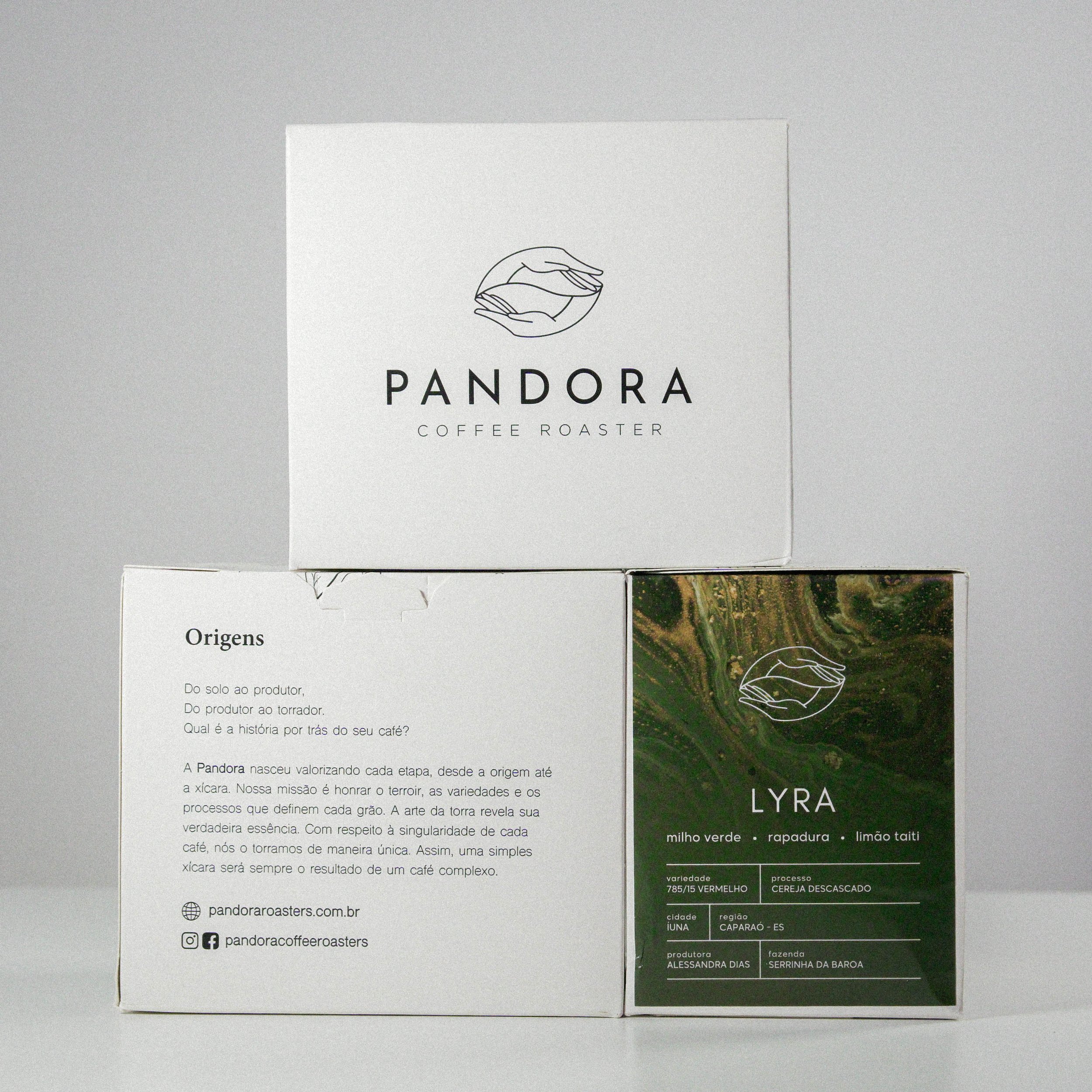 Snake Palnt Sansevieria-3.jpg