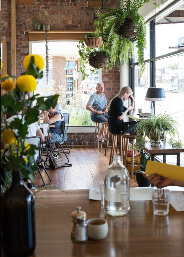 A cozy cafe interior with large windows, hanging plants, and brick walls. People are seated at tables and a counter, enjoying the natural light. A large bottle of water and a coffee cup are on the foreground table.