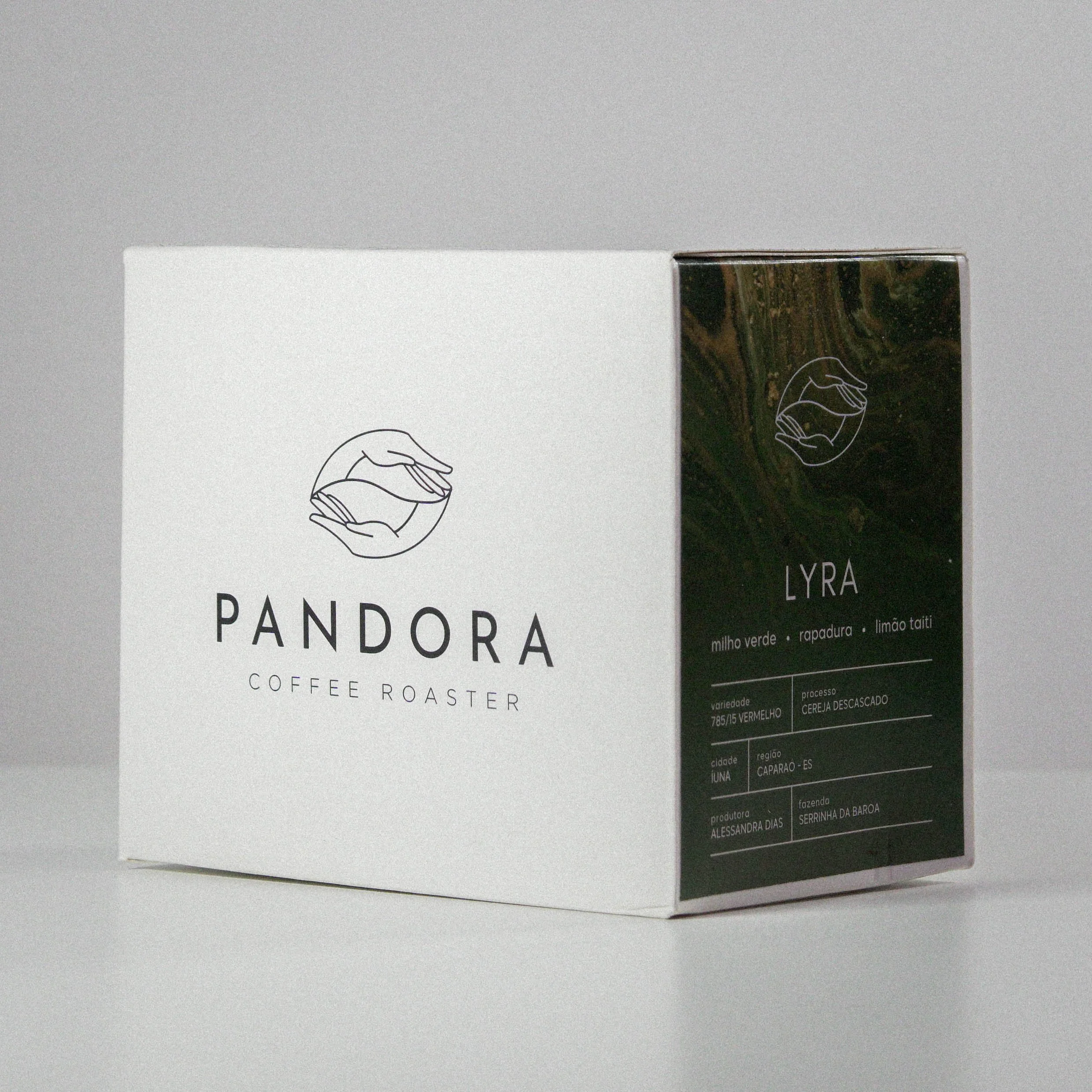 Snake Palnt Sansevieria.jpg