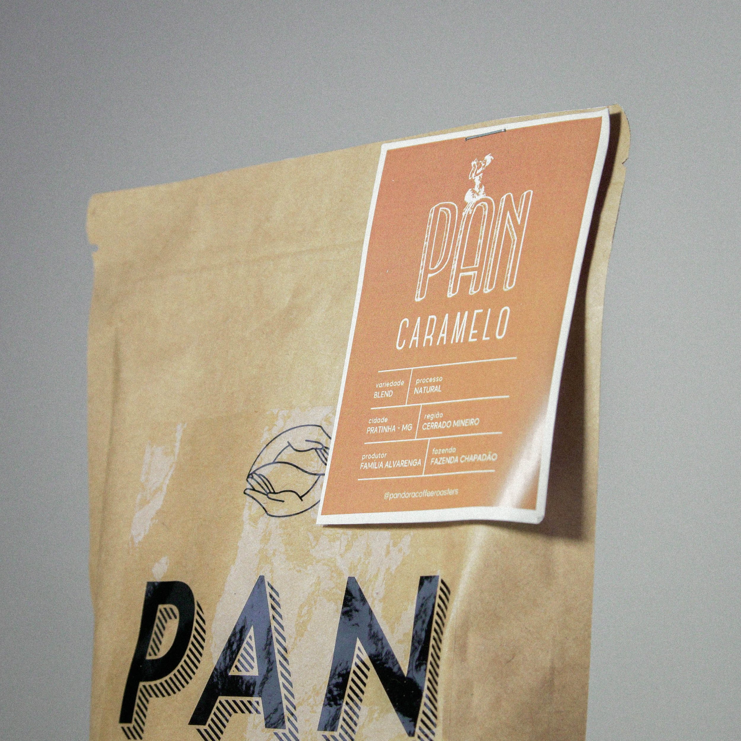 Snake Palnt Sansevieria-9.jpg