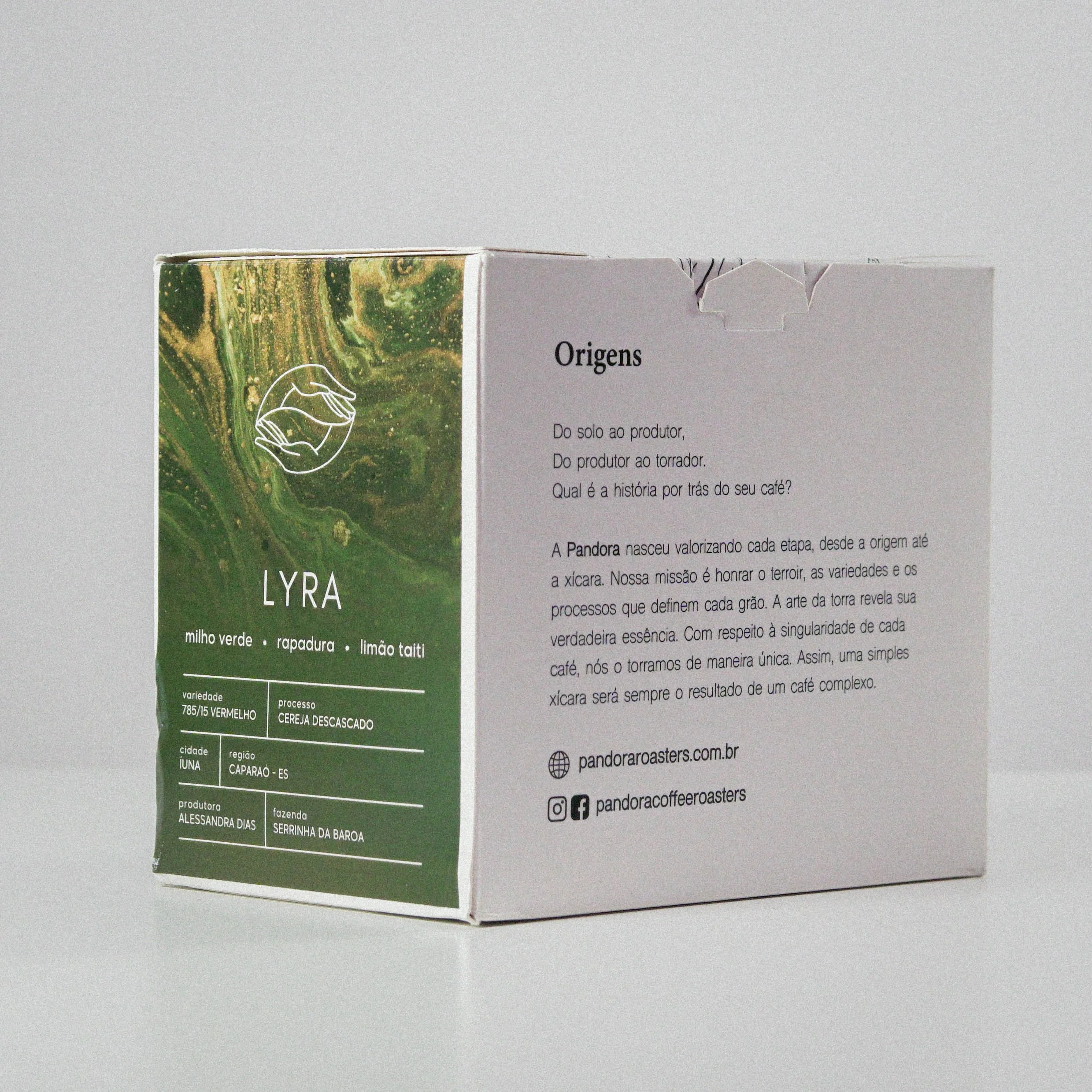 Snake Palnt Sansevieria-2.jpg