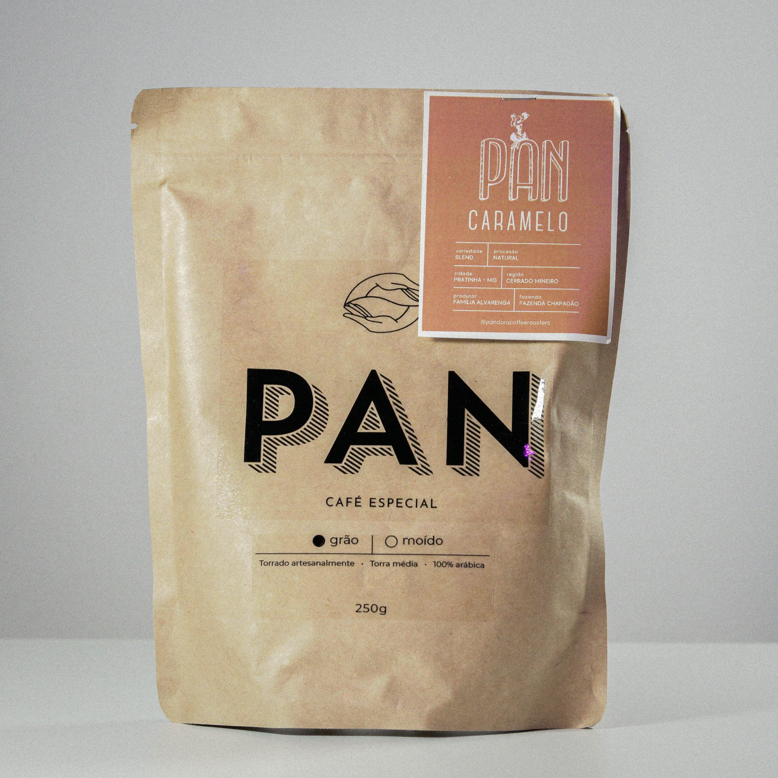 Snake Palnt Sansevieria-6.jpg