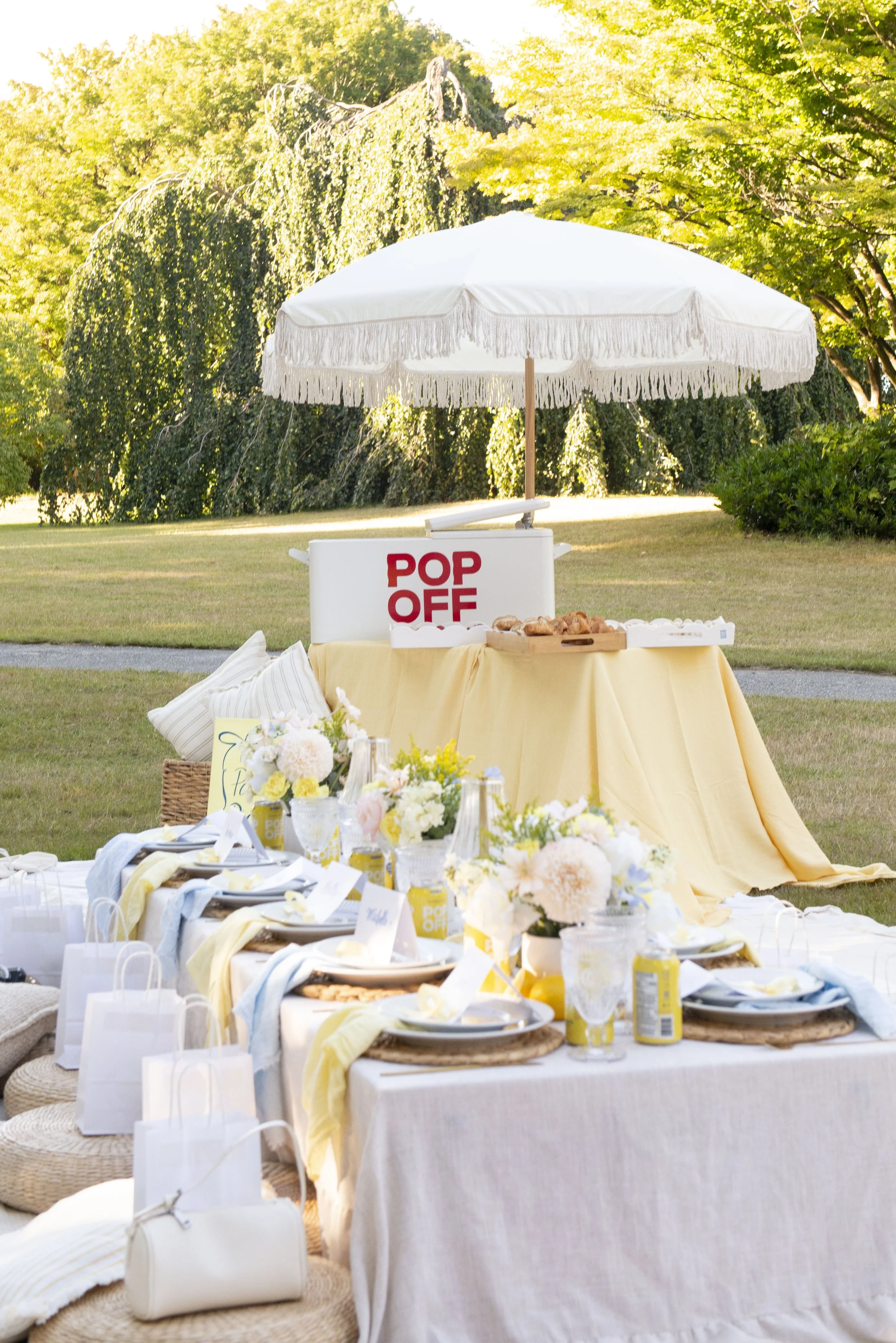 POPOFFPICNIC_CASSIDYCHENPHOTOGRAPHY_8.jpg