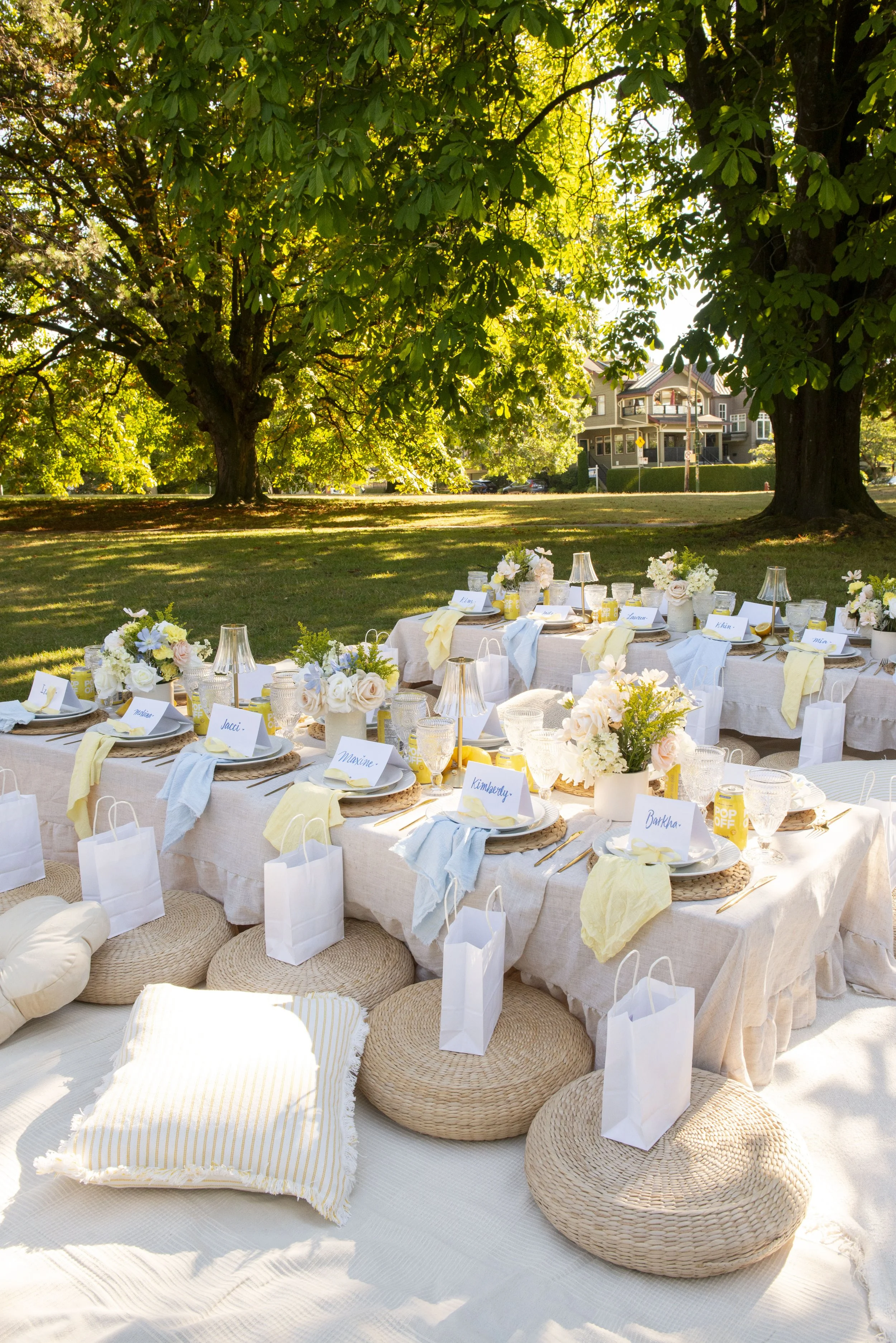 POPOFFPICNIC_CASSIDYCHENPHOTOGRAPHY_1.jpg