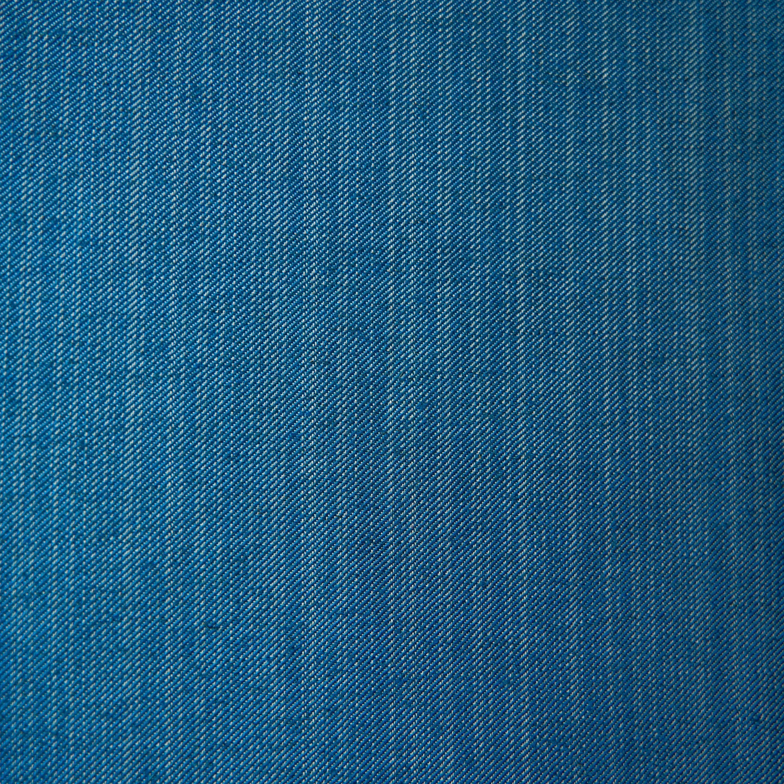 SPERONELLA MARSH- ECOM5566.jpg