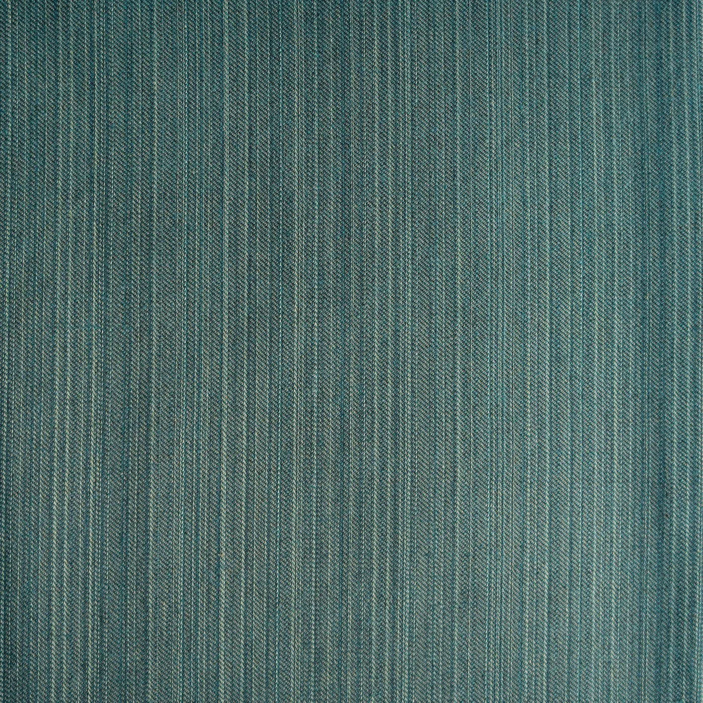 speronella marsh backs6617.jpg (Copy)