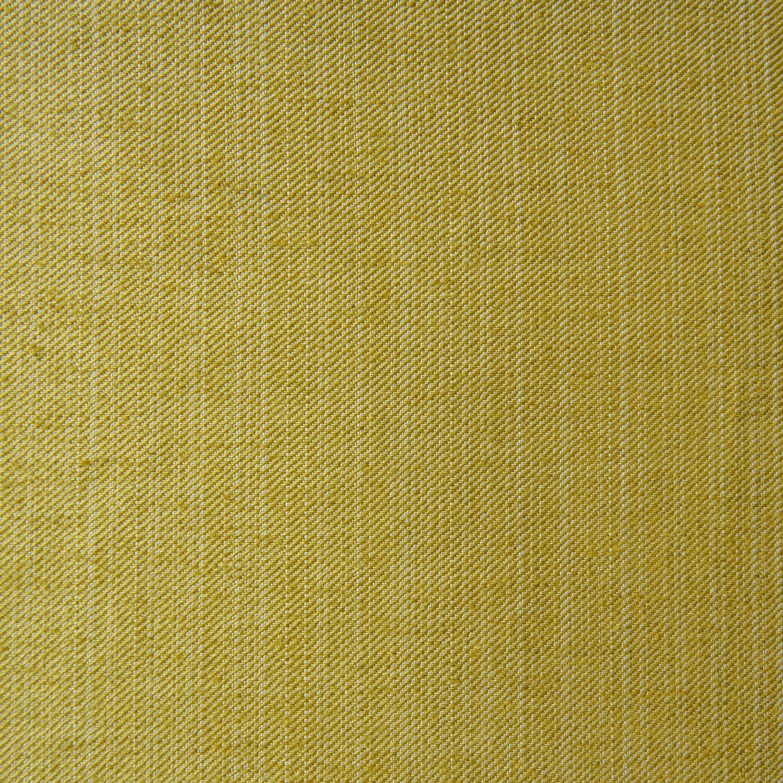 SPERONELLA MARSH- ECOM5560.jpg