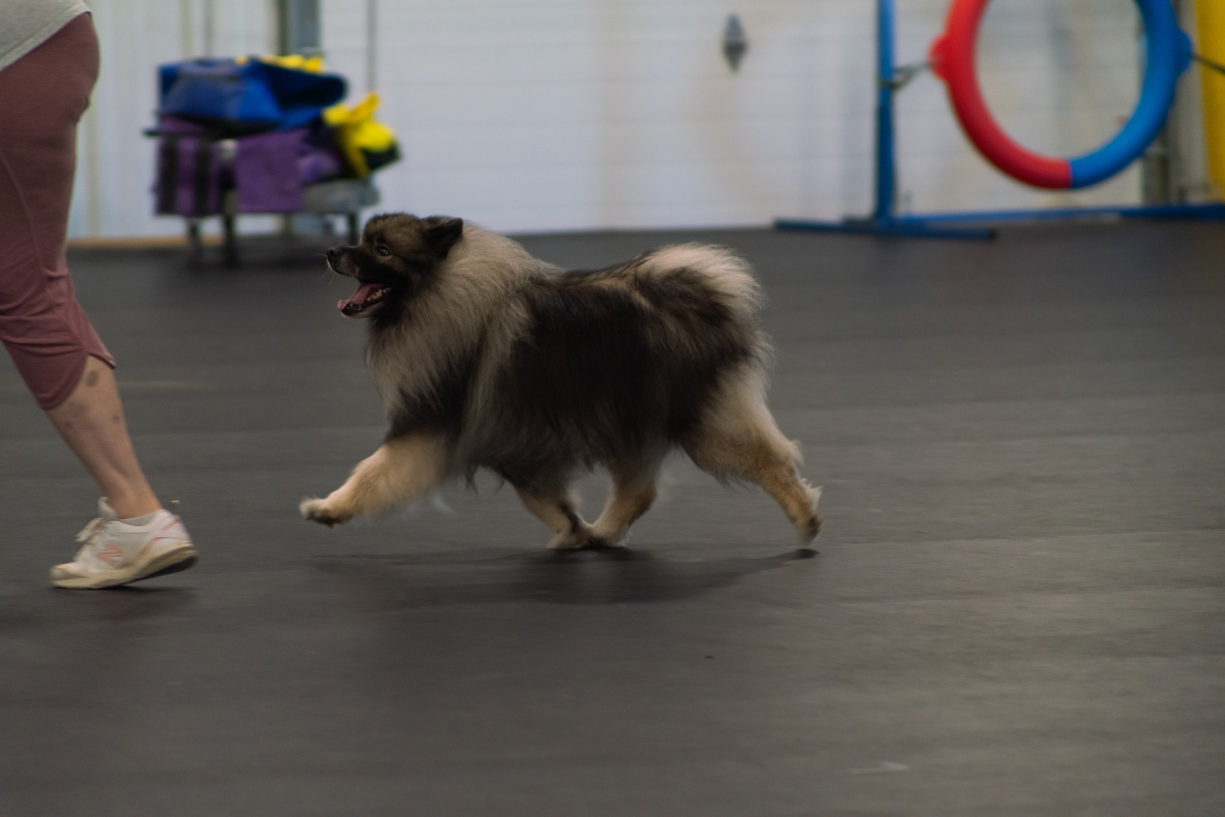 SamWasilak-June 26, 2022-01958.jpg