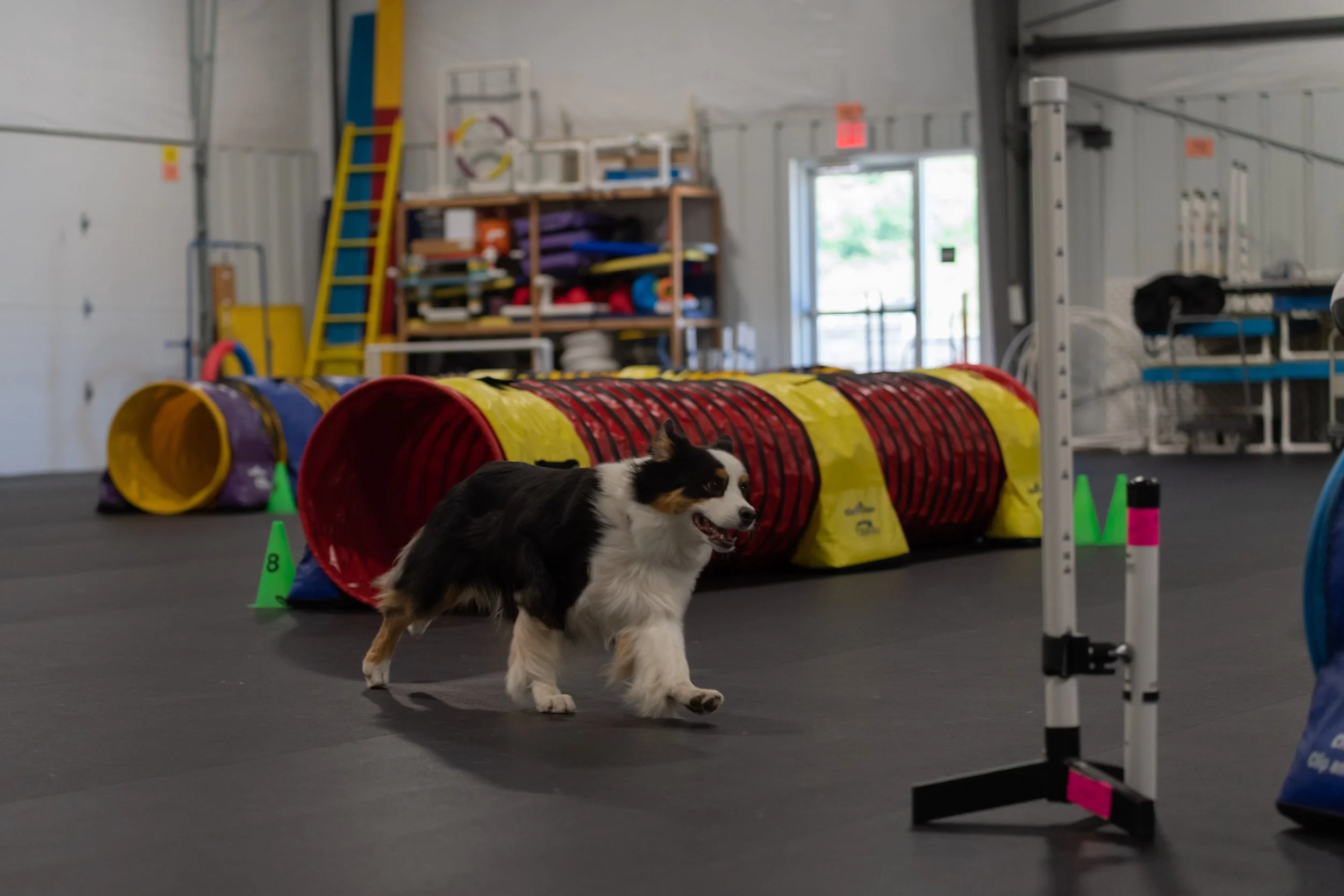 SamWasilak-June 25, 2022-01562.jpg