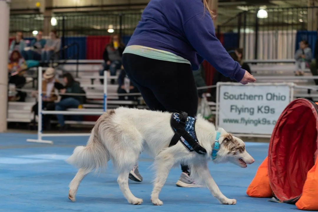 SamWasilak-March 13, 2022-01049.jpg