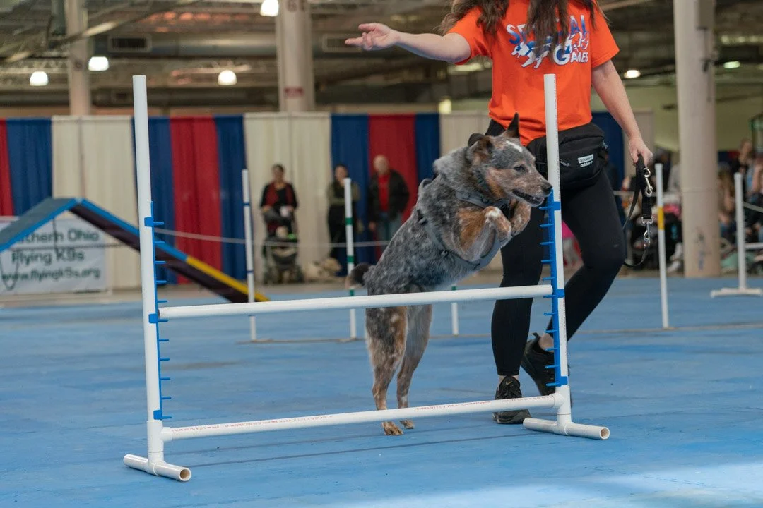 SamWasilak-March 13, 2022-01088.jpg