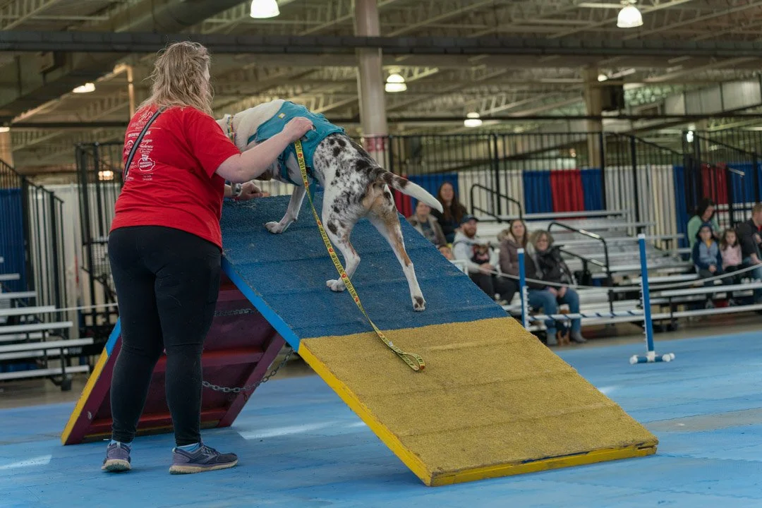 SamWasilak-March 12, 2022-00967.jpg