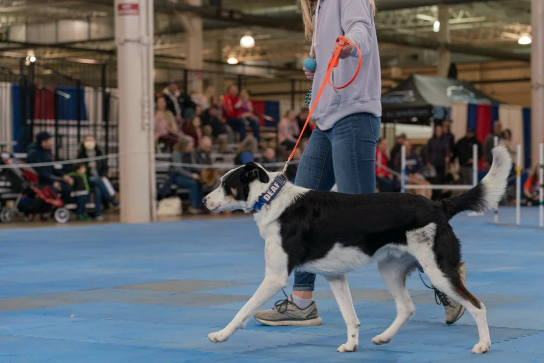 SamWasilak-March 12, 2022-00912.jpg