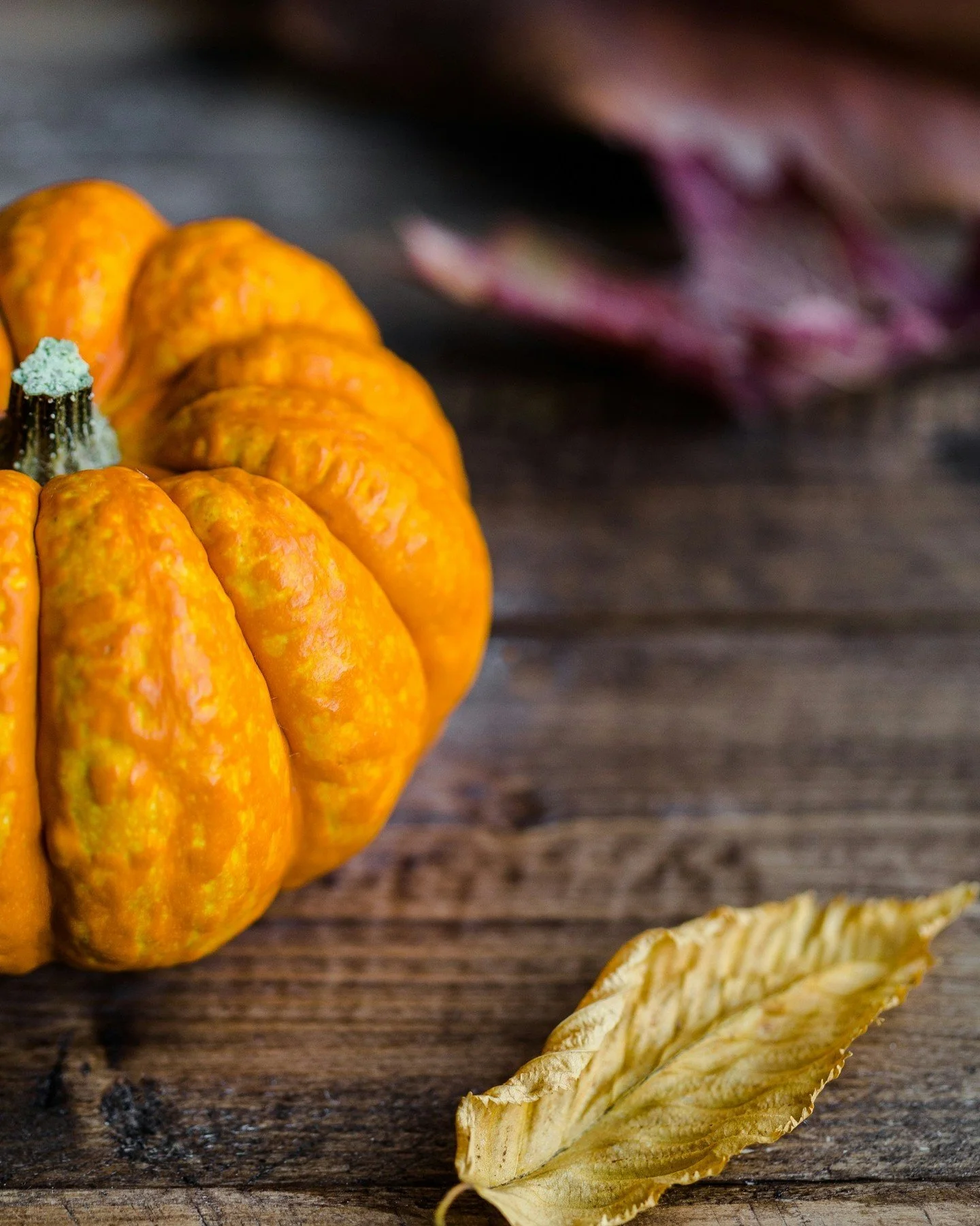 🍁 Happy Thanksgiving! As the day winds down, I hope it was filled with love, gratitude, and special moments. Wishing you peace and joy in the days ahead!