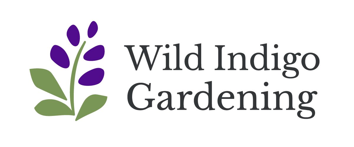 Wild Indigo Gardening
