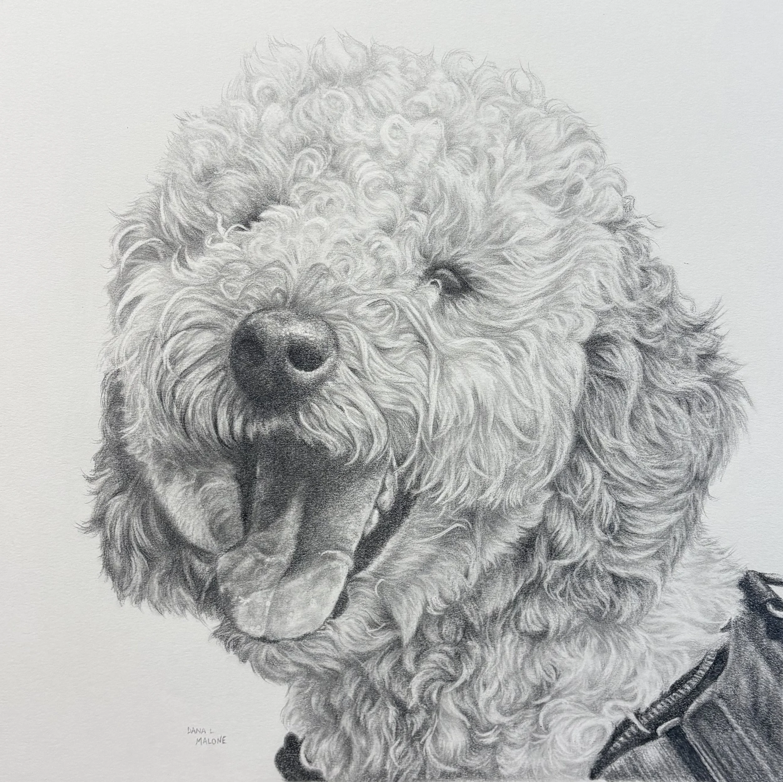 Graphite Drawing - Margo - by Dana L Malone