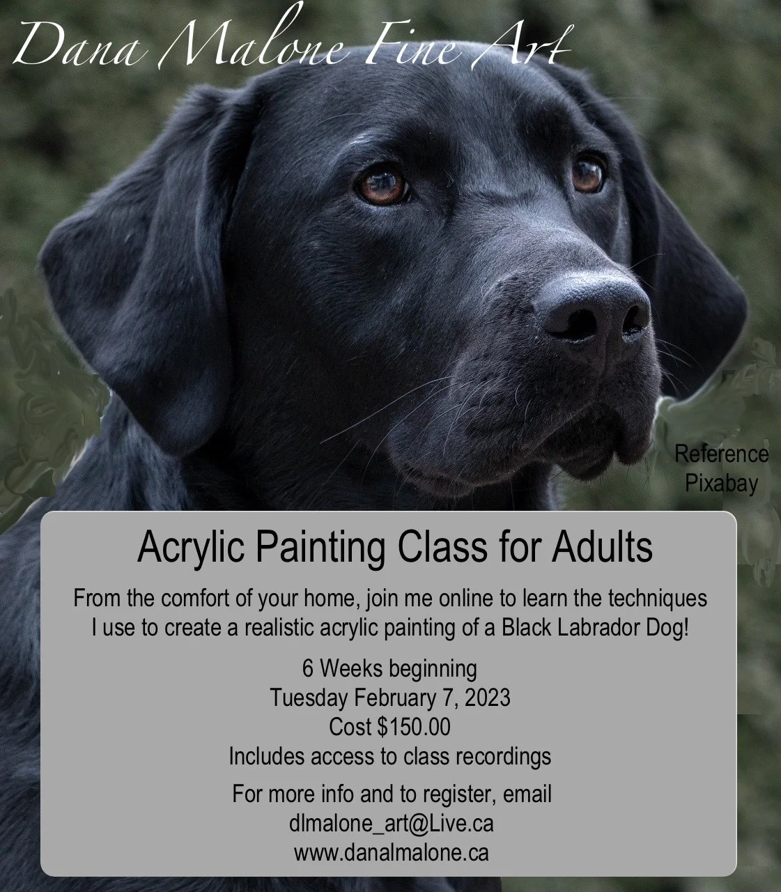 black-lab-for add.jpg