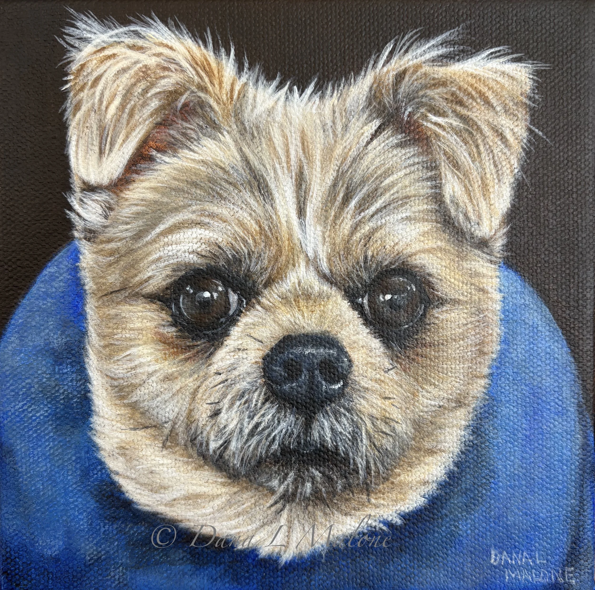 Rudy - Acrylic Painting Dana Malone Fine Art