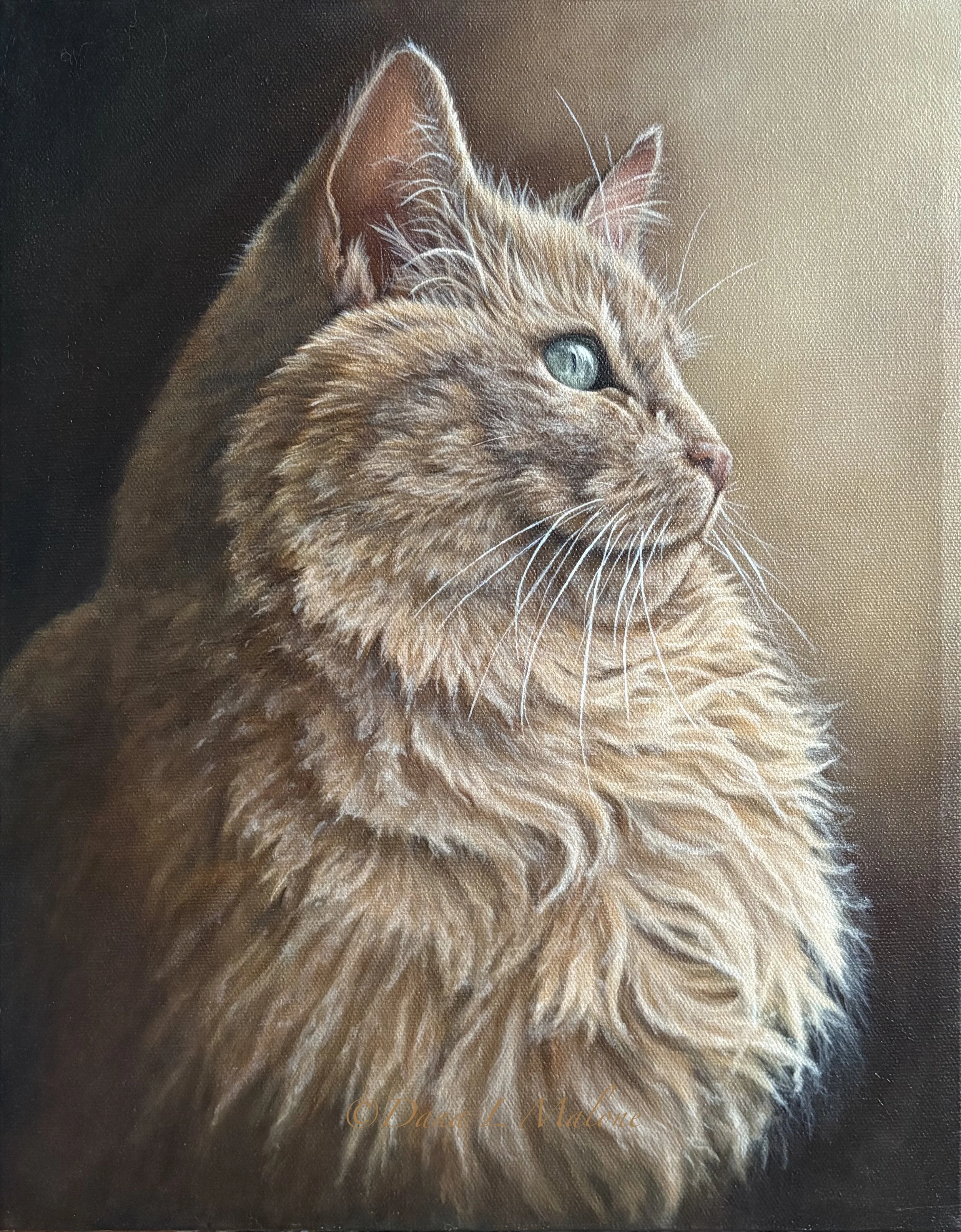 My Celee Oil Painting by Dana L Malone Reference Photo by Dana L Malone