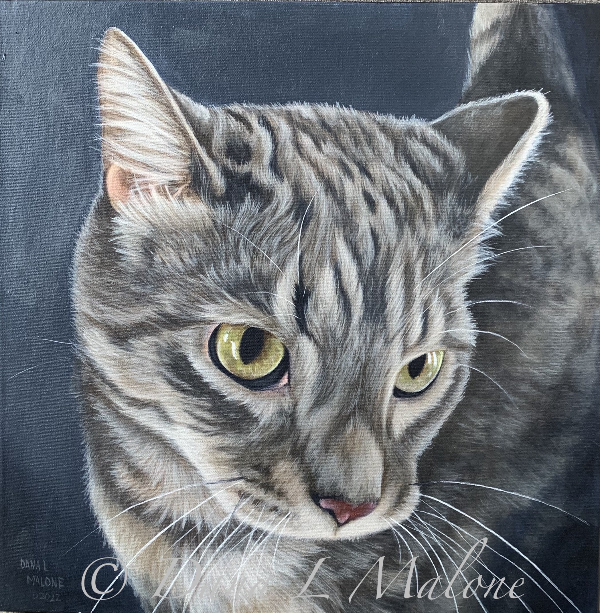 Dana Malone Fine Art - Acrylic portrait