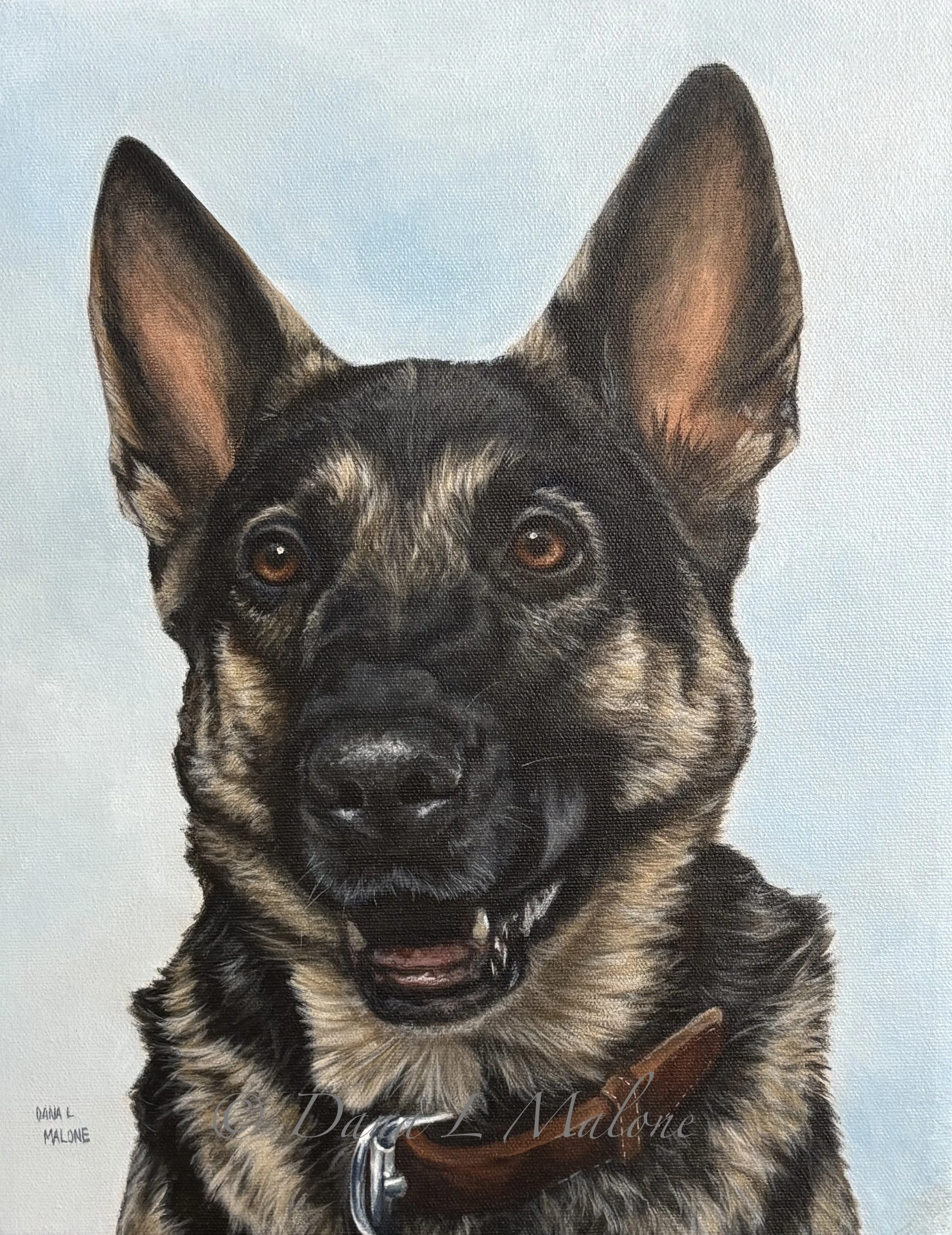 German Shepherd Acrylic Painting Dana Malone Fine Art