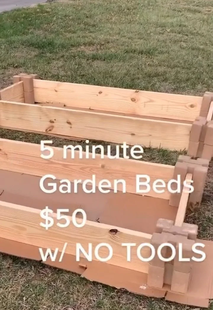 How to Build Your Own Garden Bed: No Tools or Digging Required!