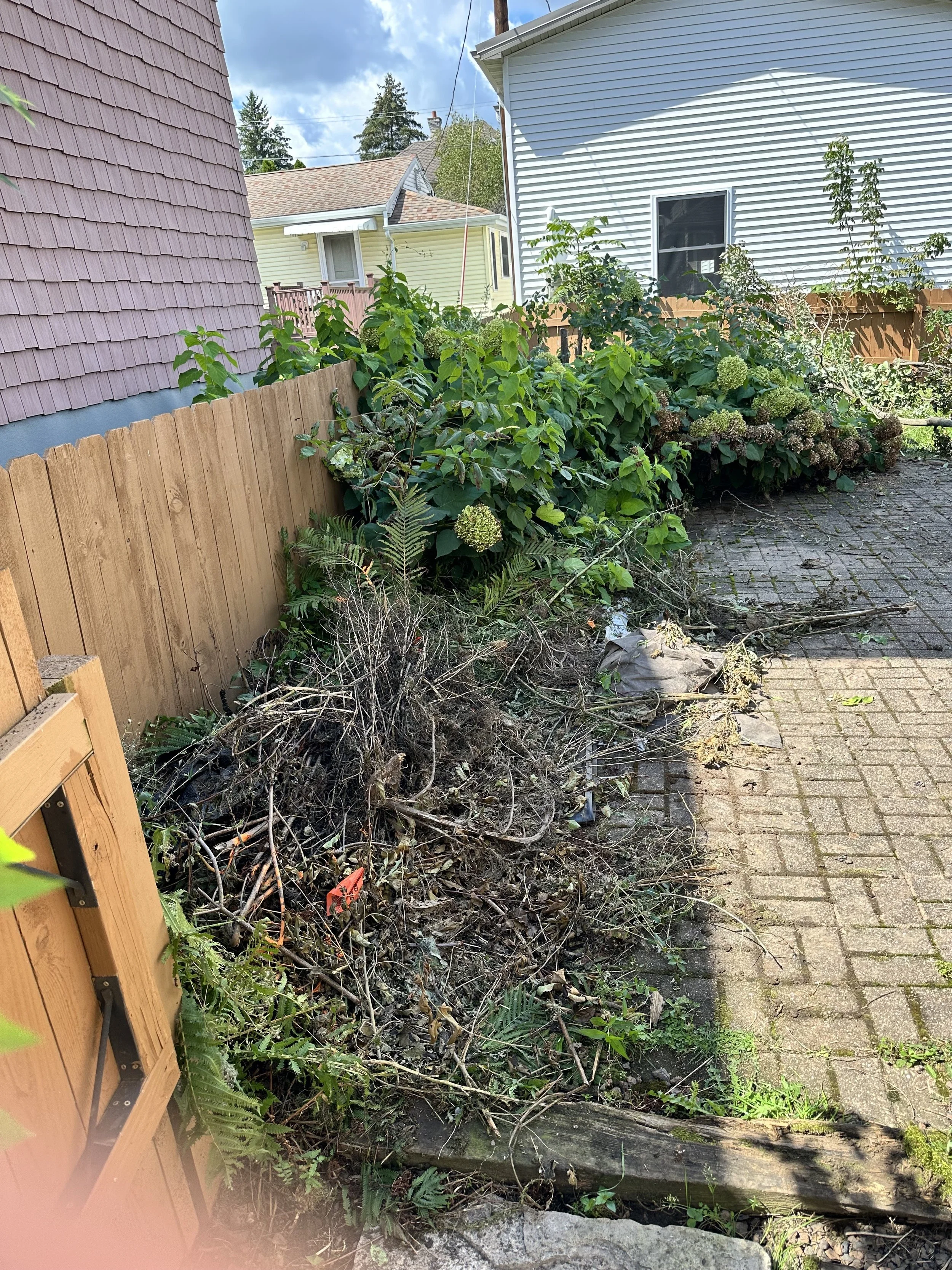 toni pleasby 2025 patio before.jpeg