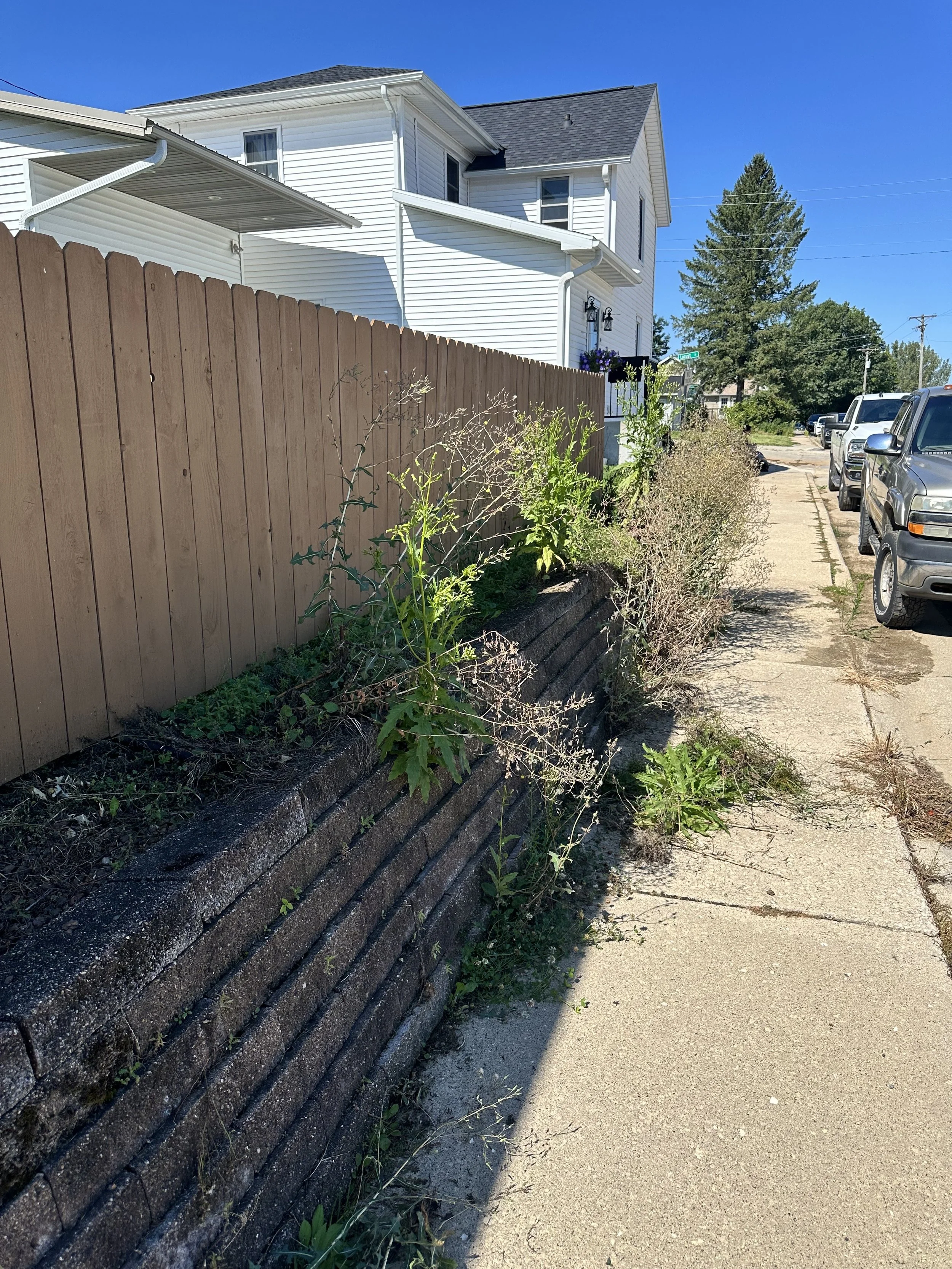 landscape cleanup blanchardville wi.jpeg
