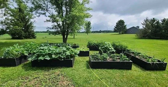 Raised garden beds — New Glarus WI