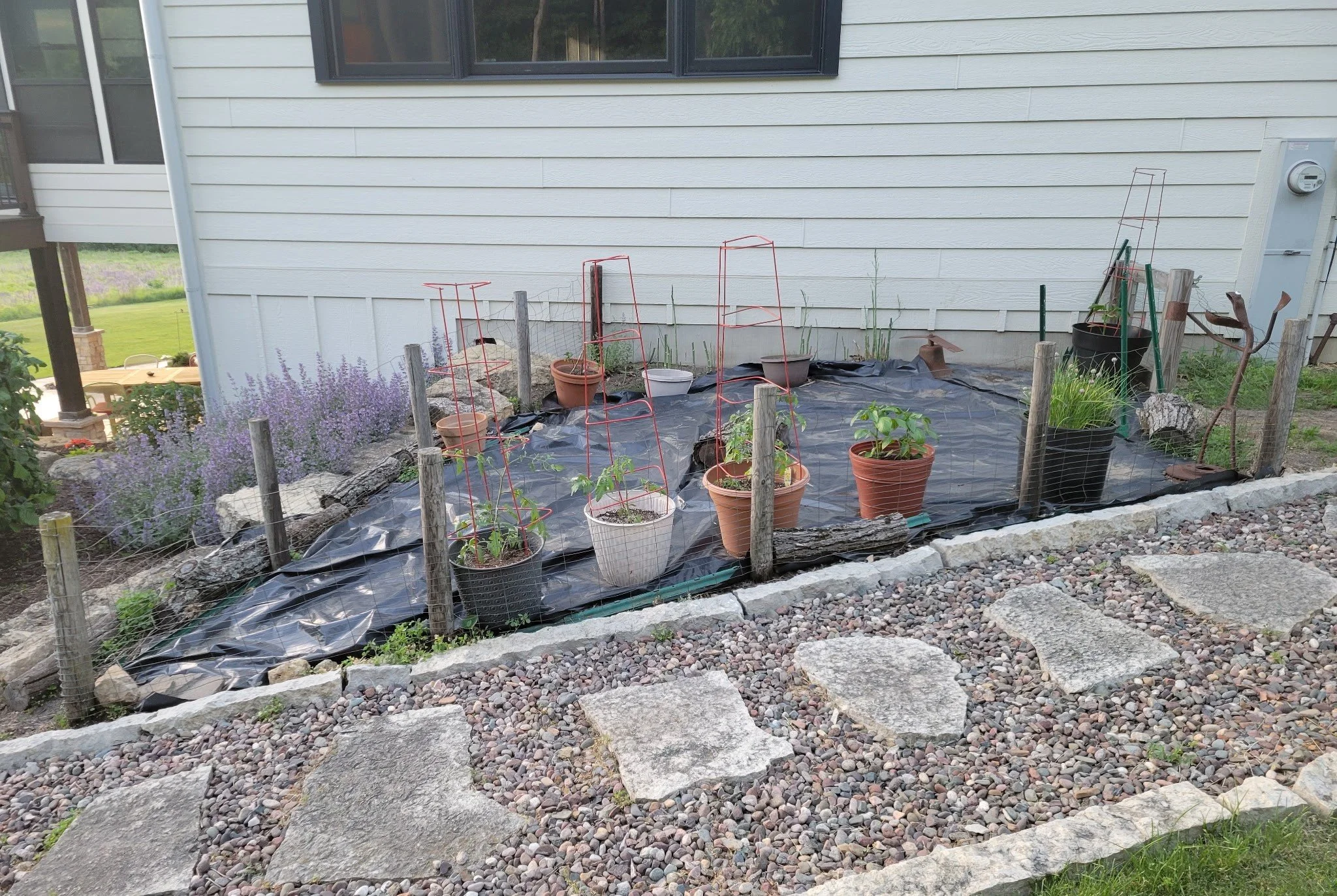 Before: plastic-covered garden plot with wire fencing and potted plants in Mount Horeb, WI
