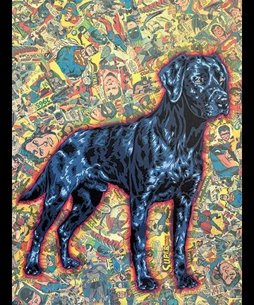 We Need a Hero  30 x 40 sold.