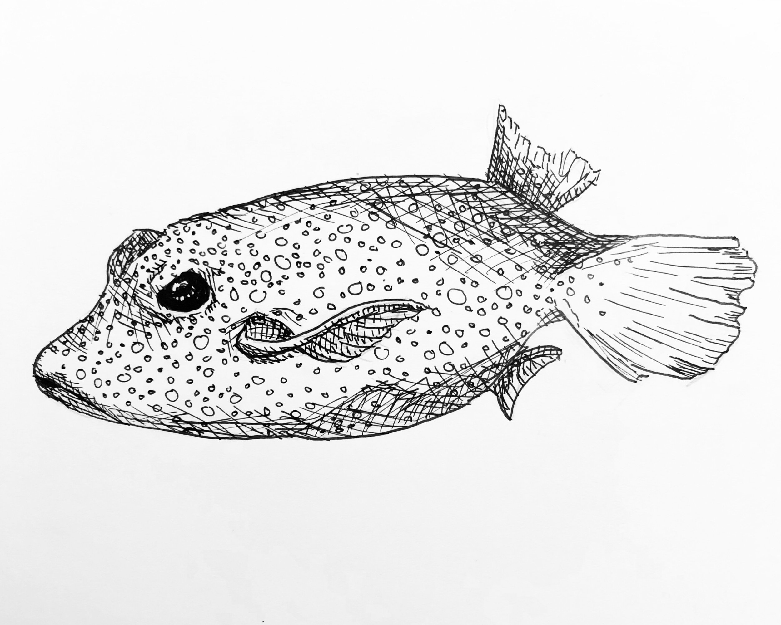 File_026.jpg