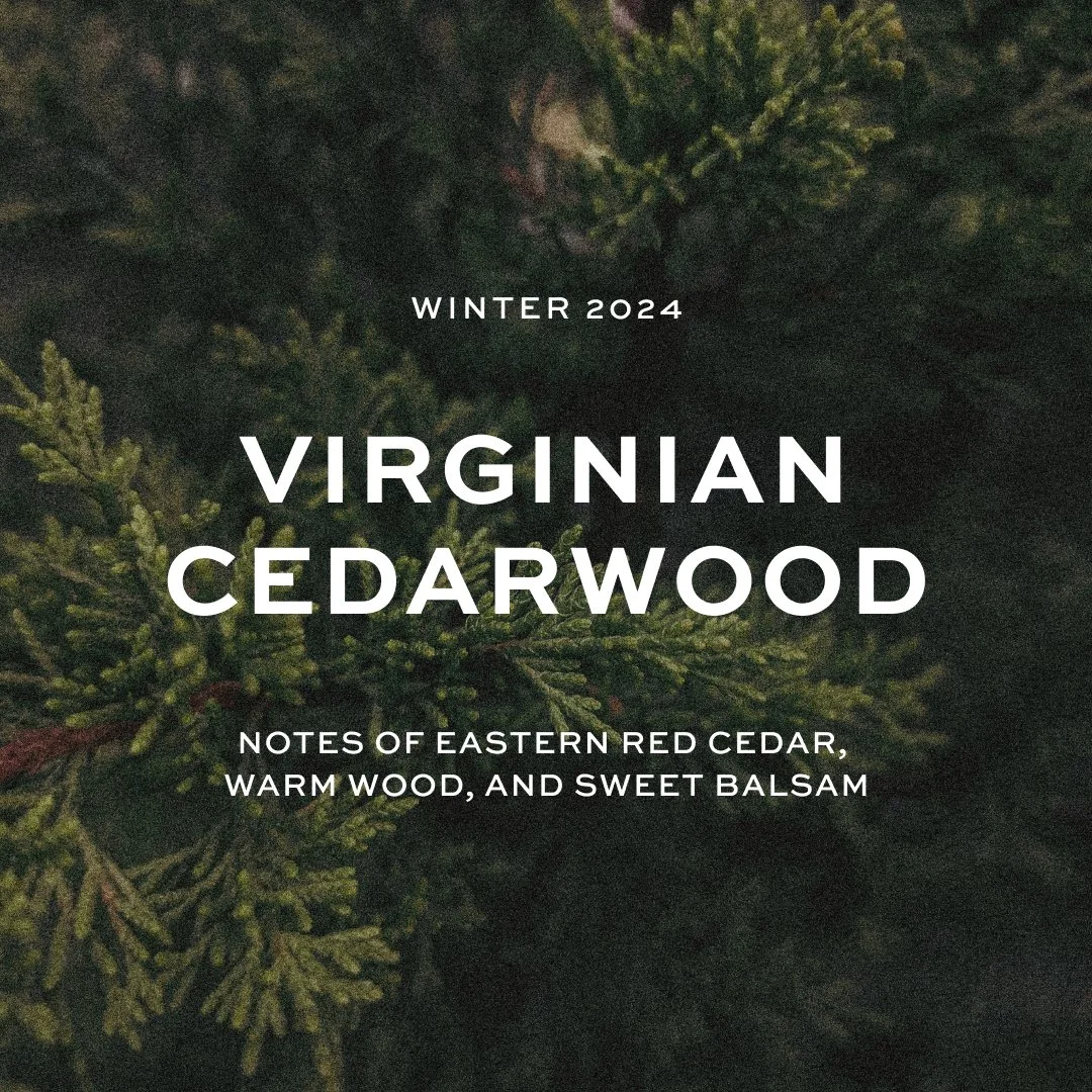 cedar v2 square.jpg