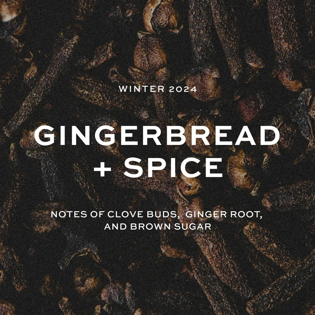 gingerbread + spice square.jpg