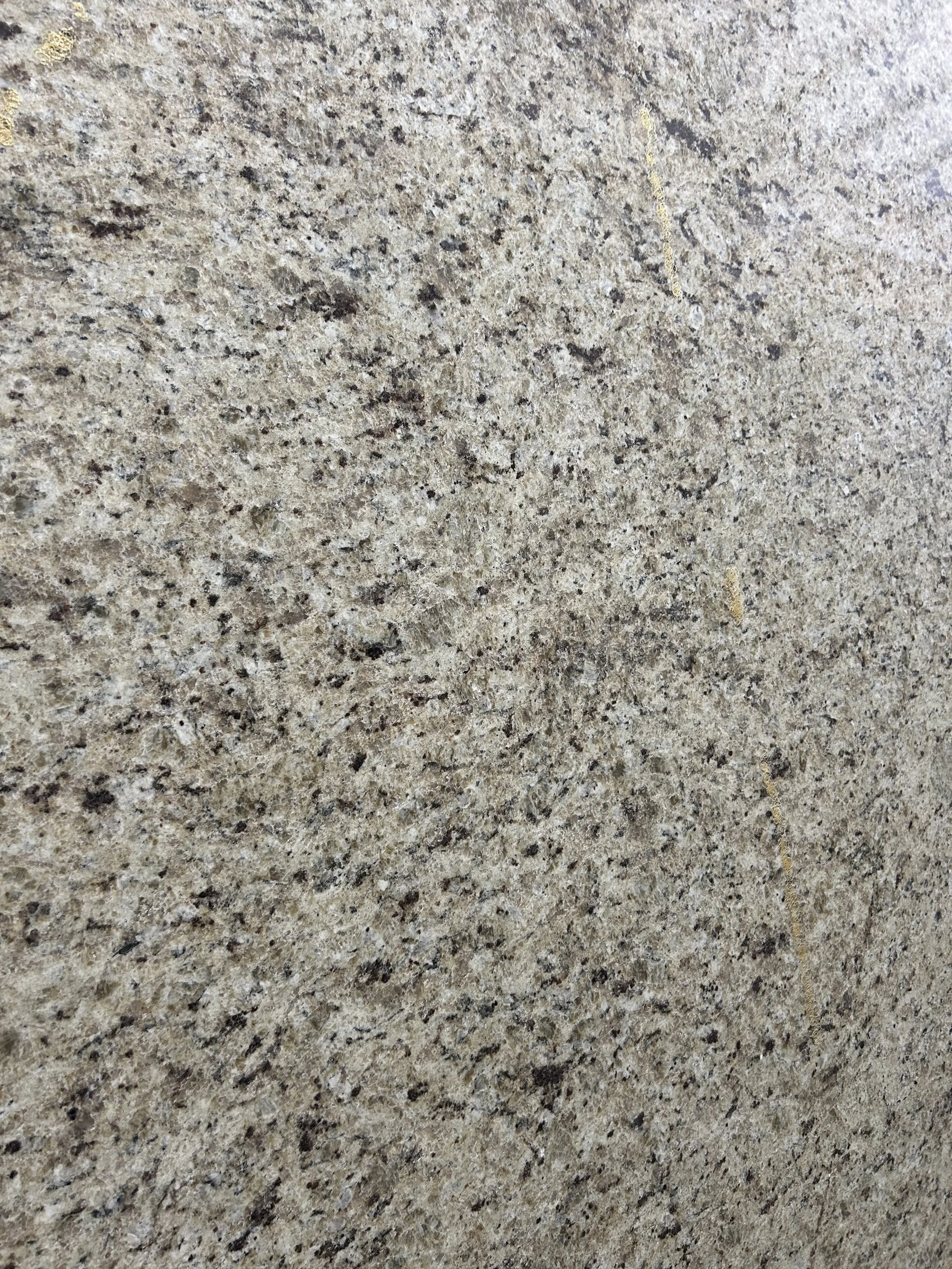 Ornamental Guidoni Polished