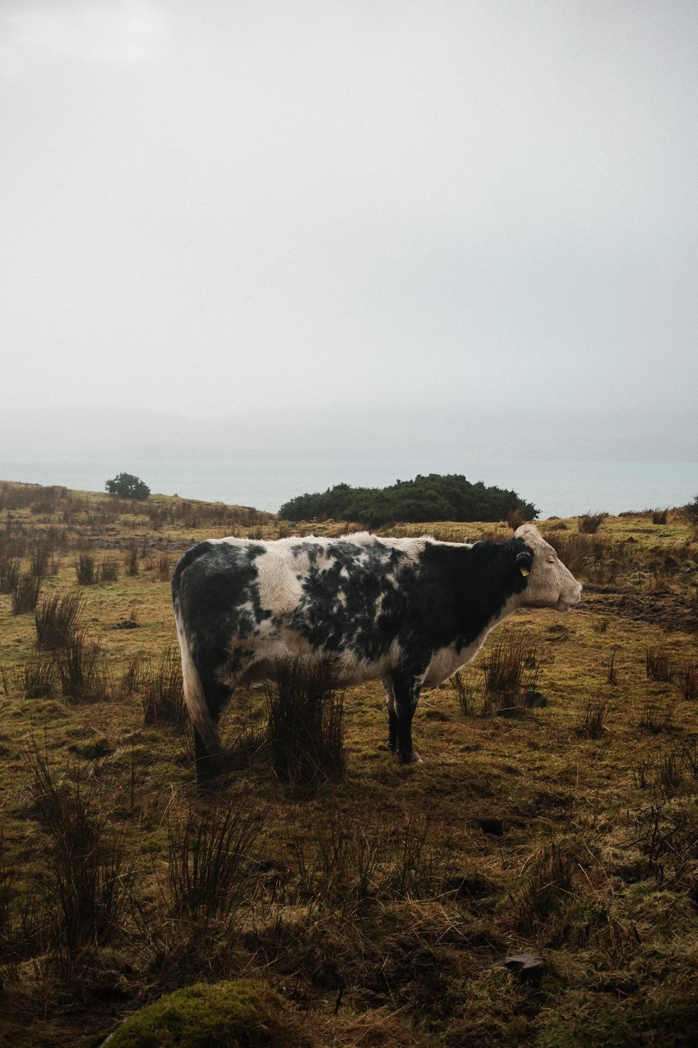 2024-12_Isle of Skye_ShotByJaz_LoRes-1.jpg