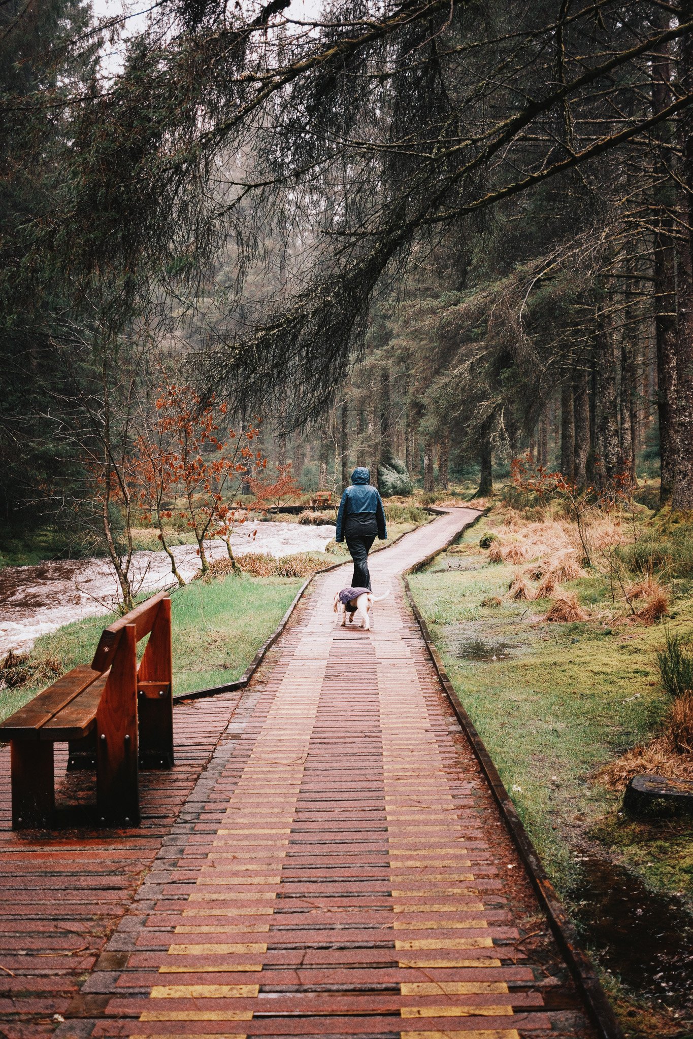 2024-02_Machynlleth Caban_ShotByJaz_LoRes-3.jpg