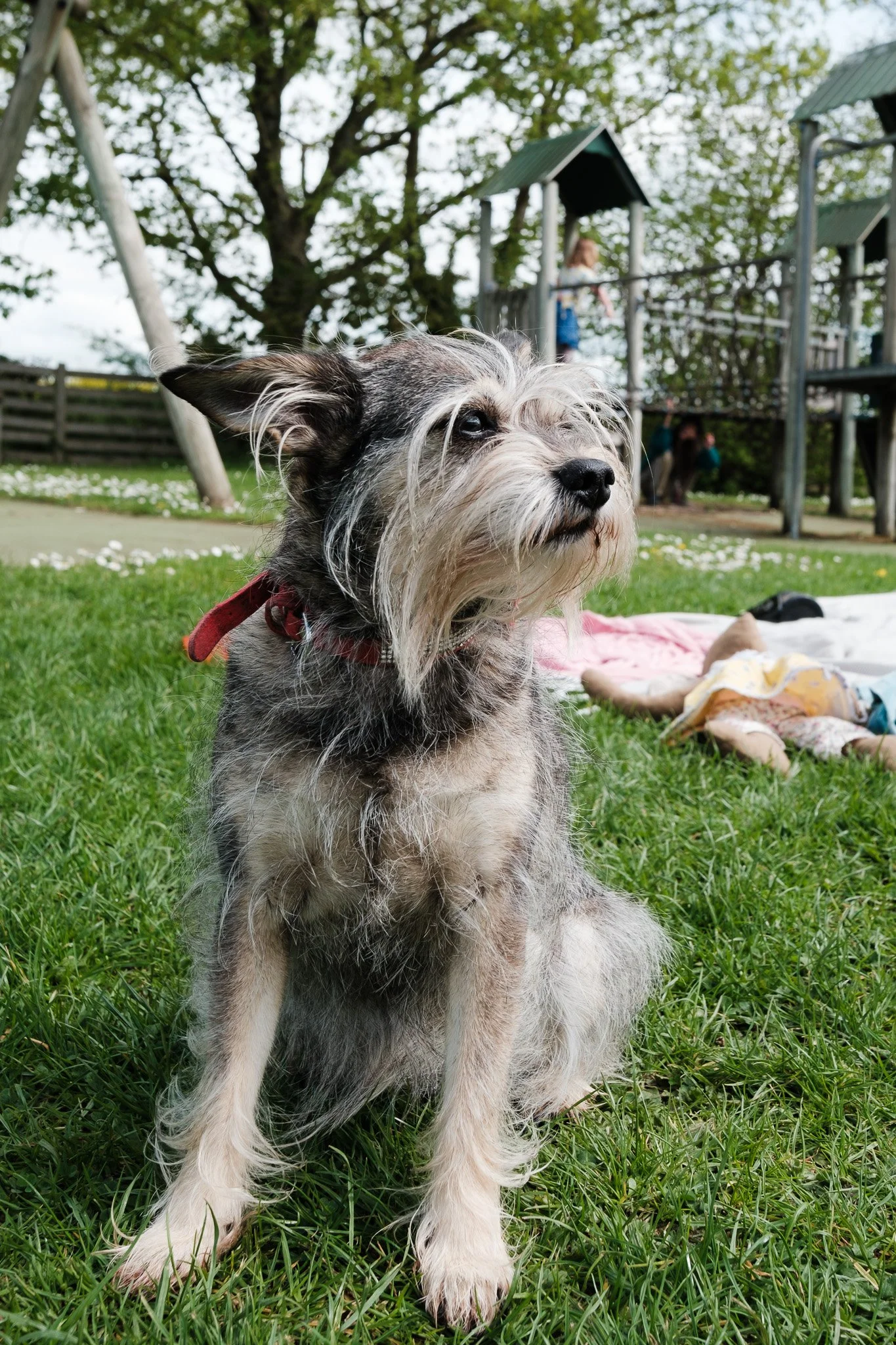 2026-04-19 Elma's Picnic_ShotByJaz_Highlight-18.jpg