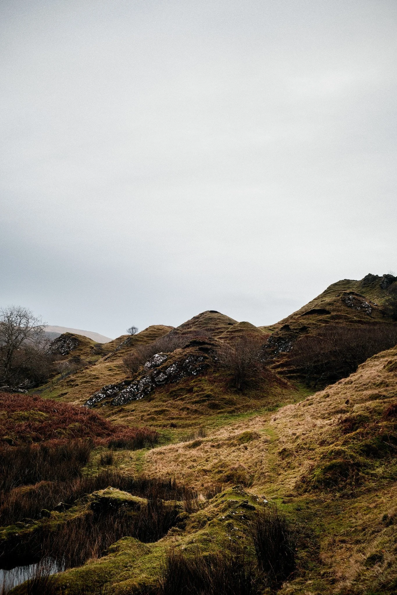 2024-12_Isle of Skye_ShotByJaz_LoRes-12.jpg