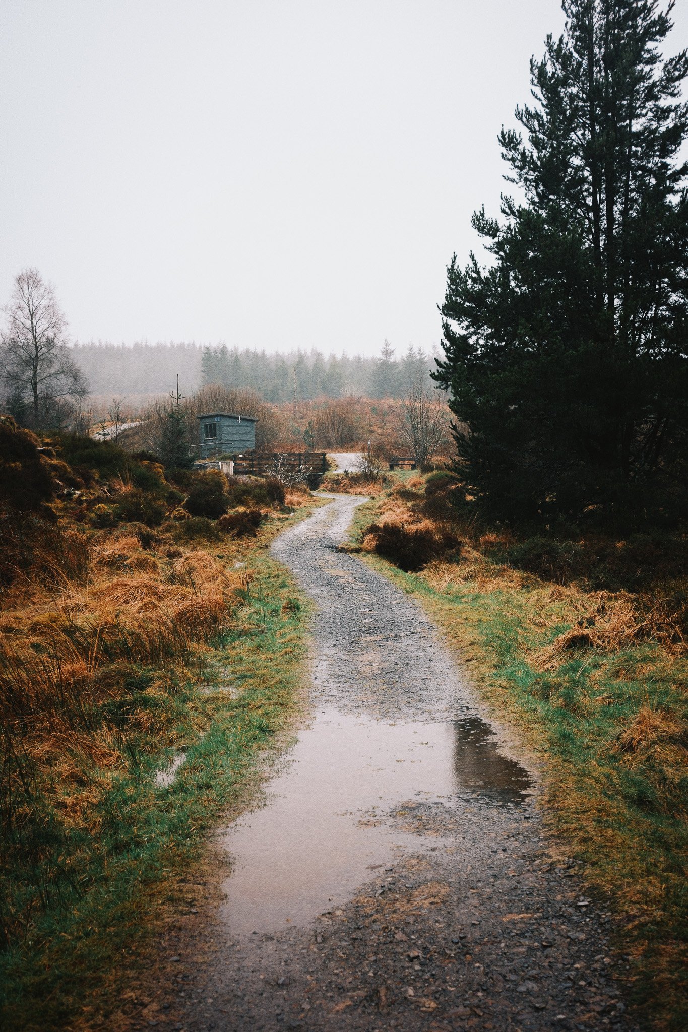 2024-02_Machynlleth Caban_ShotByJaz_LoRes-5.jpg