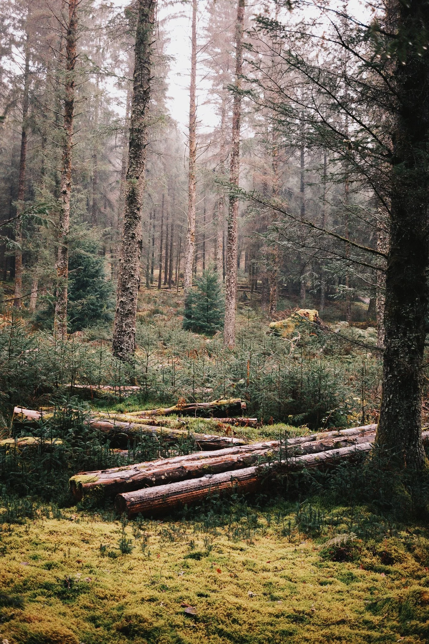 2024-02_Machynlleth Caban_ShotByJaz_LoRes-2.jpg