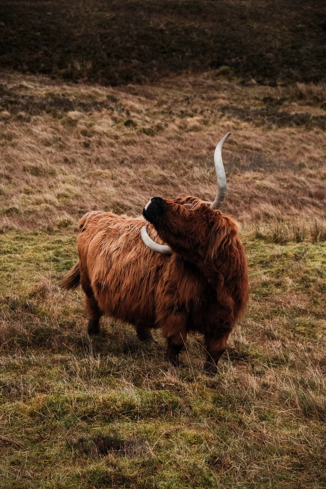 2024-12_Isle of Skye_ShotByJaz_LoRes-16.jpg