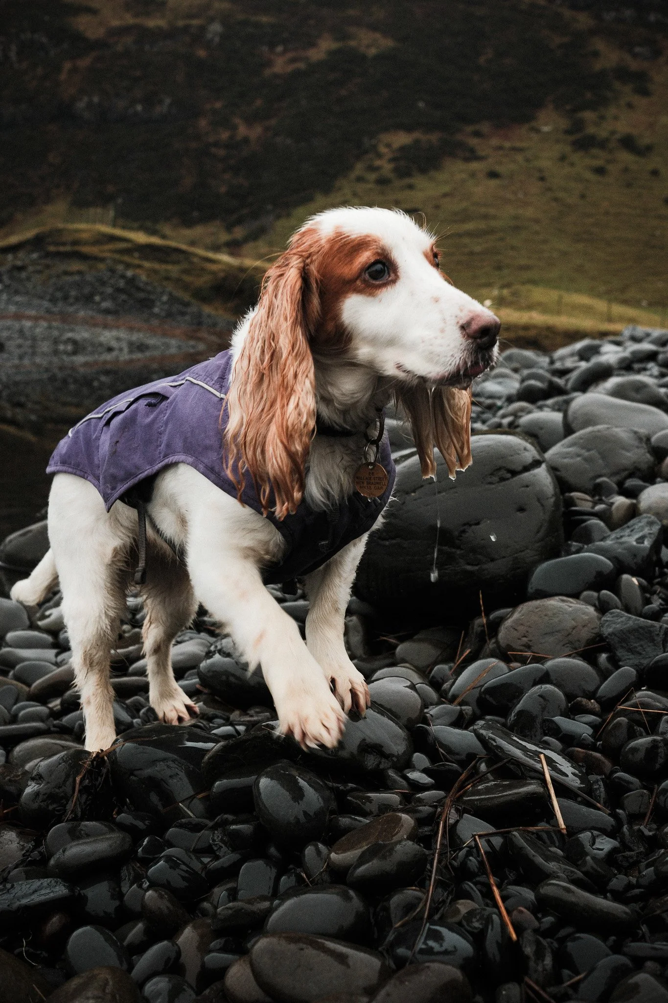 2024-12_Isle of Skye_ShotByJaz_LoRes-18.jpg