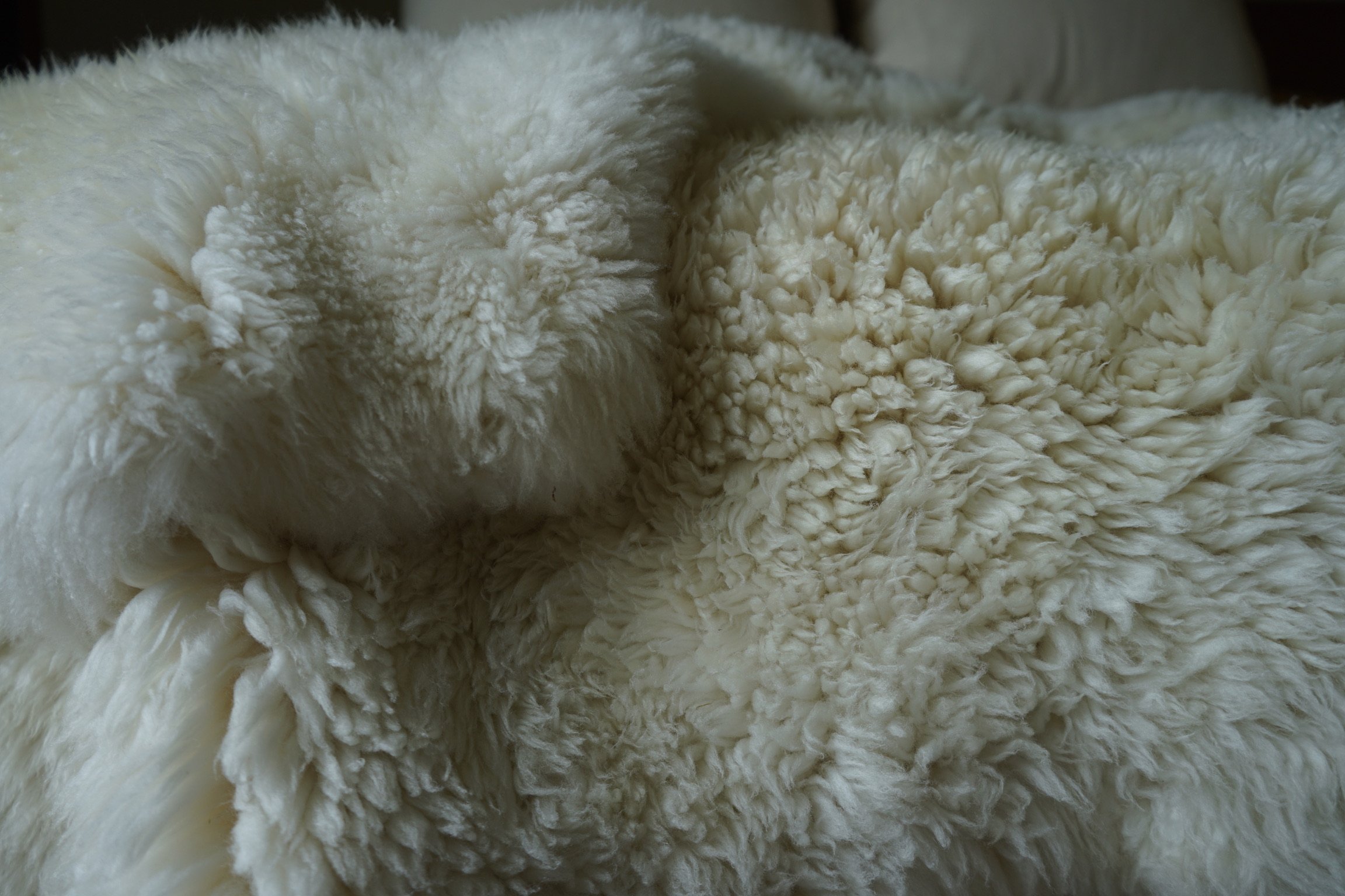DSC01097.jpeg
