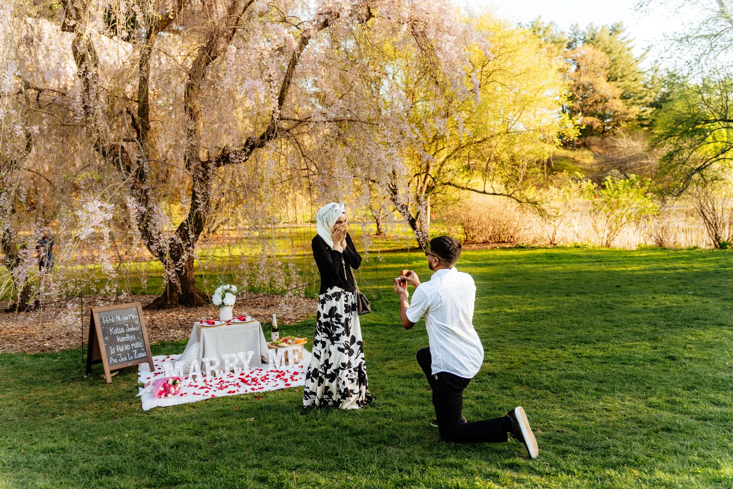 Indian Muslim couple engagement proposal at Arnold Arboretum Boston