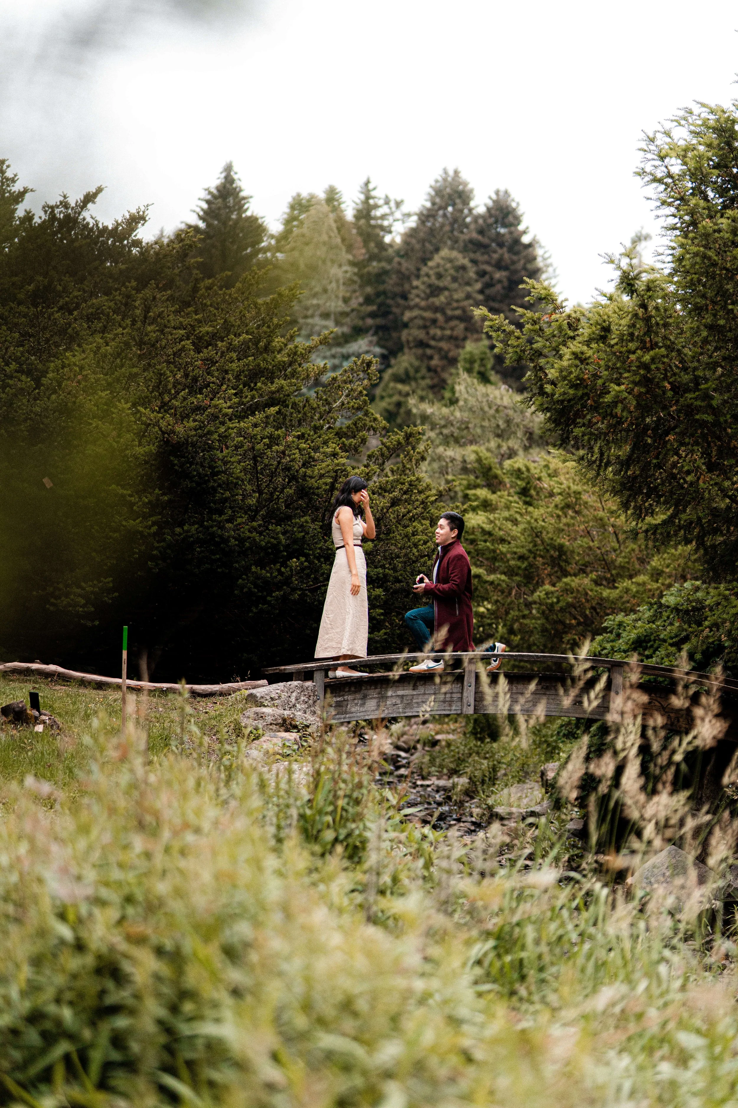 Romantic proposal moment at Arnold Arboretum in Boston