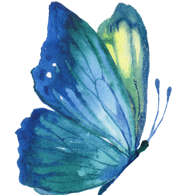 Watercolor blue morpho logo with folded wings