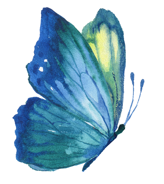 Watercolor blue morpho butterfly, The Pleasure Ethic emblem.