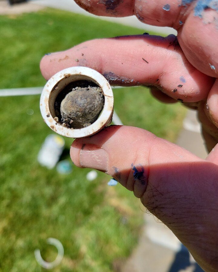 Client couldn't find why no water was going to parking strip. Found this little guy wedged in the pipe. Not the first time we've seen something like this. 
Call/text Your Handyman Pros.801.949.2376 Mike 
@YourHandymanPros.
Lic.#128888335-5501